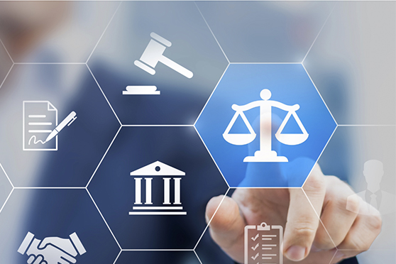 legal advice and support