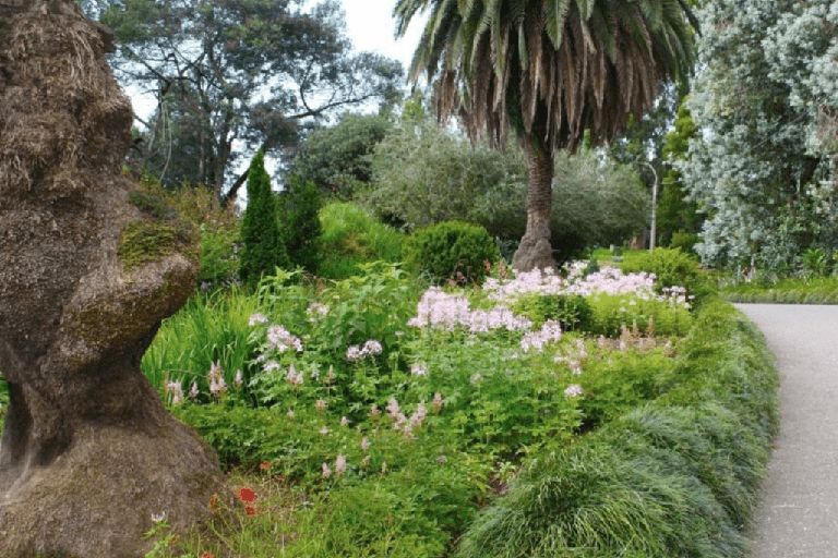 Ботанический сад Батуми: уникальная природная достопримечательность