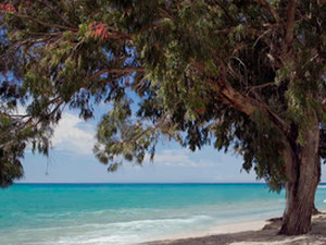 تاون هاوس 3 غرف نوم 98 متر مربع في فيلاجويوسا ، إسبانيا — ابحث عن عقار قيد الإنشاء أو عقار معاد بيعه مباشرة من المطورين والملاك GEOLN.COM. صورة فوتوغرافية 17