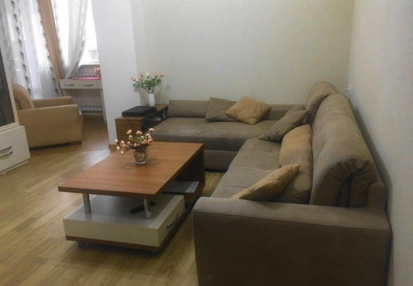 Apartment in the city center