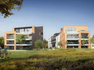 房地产在 Zilverwit — look at the real estate search engine GEOLN.COM. 照片 4