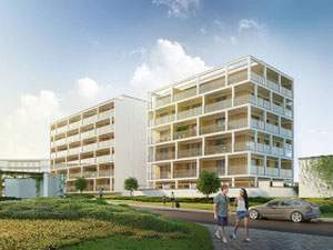 Real estate in Koralowe — look at the real estate search engine GEOLN.COM. Photo 8