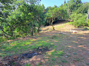 Plot in Makhinjauri with sunset view — Find off-plan property or real estate resale directly from developers and owners GEOLN.COM. Photo 6