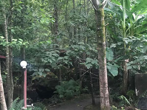 山间餐厅。提克纳斯 — 来自开发商和业主的房地产搜索引擎 GEOLN.COM. 照片 27