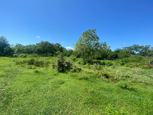Land plot in Kobuleti — Find off-plan property or real estate resale directly from developers and owners GEOLN.COM. Photo 4