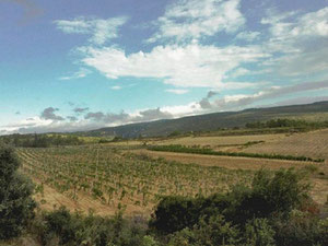 法国地块，Clermont-l'Hérault 出售 — 来自开发商和业主的房地产搜索引擎 GEOLN.COM. 照片 5