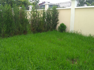 Нерухомість в Batumi Villas — дивіться на пошуковику нерухомості GEOLN.COM. Фото 12