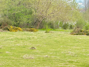 Hutsubani'de Arazi Parseli — Sahiplerden yada inşaatcilardan mülkiyet arama GEOLN.COM. Fotoğraf 6
