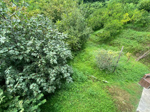 Будинок в Квирике — Пошуковик нерухомості від забудовників і власників GEOLN.COM. Фото 14