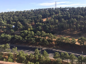 Однокомнатная квартира  — Поисковик недвижимости от застройщиков и собственников GEOLN.COM. Фото 11