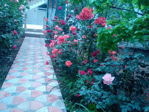 Malikane — Пошуковик нерухомості від забудовників і власників GEOLN.COM. Фото 31