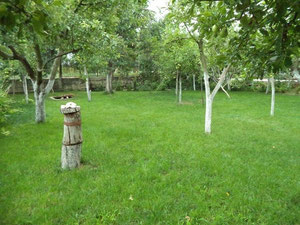 Villa in a village by the sea in Bulgaria, Varna region — Find off-plan property or real estate resale directly from developers and owners GEOLN.COM. Photo 5