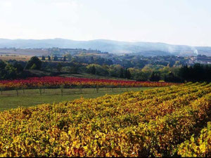 法国，奥西塔尼亚，卡尔卡松的豪华房地产 — 来自开发商和业主的房地产搜索引擎 GEOLN.COM. 照片 9