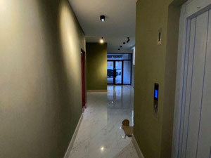 3房出售 — 来自开发商和业主的房地产搜索引擎 GEOLN.COM. 照片 3