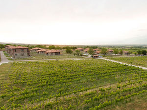 Нерухомість в Schuchmann Wine Luxury Villas — дивіться на пошуковику нерухомості GEOLN.COM. Фото 20