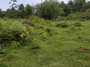 在 Khelvachauri 出售的土地 — 来自开发商和业主的房地产搜索引擎 GEOLN.COM. 照片 9