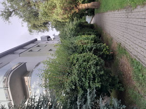 Ремонтированная квартира 55 кв. м. в самом центре Гродзиска-Мазовецкого. — Поисковик недвижимости от застройщиков и собственников GEOLN.COM. Фото 14