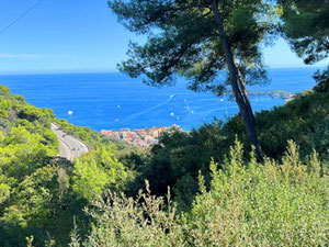 Вид на море, біля Сен-Жан-Кап-Ферра — Пошуковик нерухомості від забудовників і власників GEOLN.COM. Фото 2