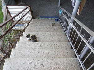 Kakheti Sighnaghi'deki ev — Sahiplerden yada inşaatcilardan mülkiyet arama GEOLN.COM. Fotoğraf 7