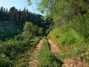 别墅 3 间卧室 374 平方米，位于西班牙埃斯特波纳 — 来自开发商和业主的房地产搜索引擎 GEOLN.COM. 照片 42