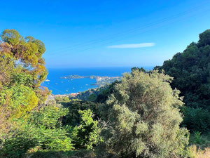 Вид на море, біля Сен-Жан-Кап-Ферра — Пошуковик нерухомості від забудовників і власників GEOLN.COM. Фото 5