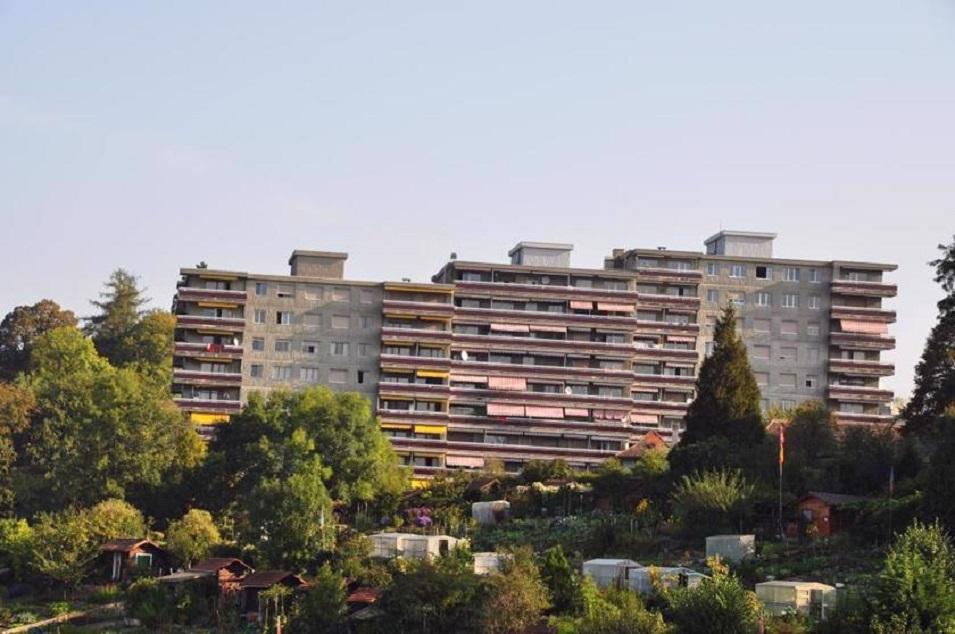 נדל"ן ב Appartement renove a Impasse de la Foret — עיין במנוע חיפוש הנדל"ן GEOLN.COM. תמונה 1