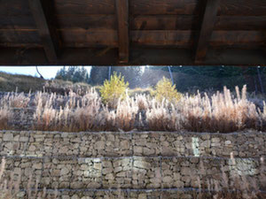 保加利亚、斯莫梁地区、潘波罗沃的山区公寓 — 来自开发商和业主的房地产搜索引擎 GEOLN.COM. 照片 7