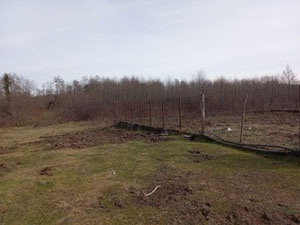 卡普罗瓦尼地块 — 来自开发商和业主的房地产搜索引擎 GEOLN.COM. 照片 2