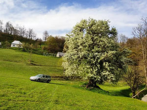 مونتينيغرو. على بعد 9 كم من موكوفات في اتجاه بييلو بولي، يتم بيع عقار ريفي بمساحة 3.1 هكتار. — ابحث عن عقار قيد الإنشاء أو عقار معاد بيعه مباشرة من المطورين والملاك GEOLN.COM. صورة فوتوغرافية 2