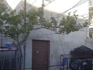 Mukhiani的私人住宅。买房子在第比利斯，Mukhiani — 来自开发商和业主的房地产搜索引擎 GEOLN.COM. 照片 5