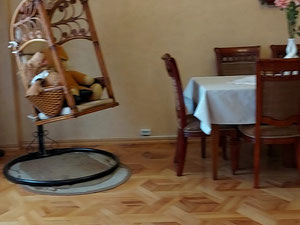 Продаю 3-кімнатну квартиру в Великому Дигомі — Пошуковик нерухомості від забудовників і власників GEOLN.COM. Фото 11