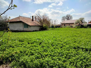 Grundstück zu verkaufen — Immobilien-Suchservice von Bauträgern und Eigentümern GEOLN.COM. Foto 6