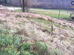 Village house in Slovenia, Zgornja Kungota — Find off-plan property or real estate resale directly from developers and owners GEOLN.COM. Photo 6