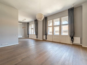 匈牙利。布达佩斯。新装修公寓，144平方米，位于市中心。 — 来自开发商和业主的房地产搜索引擎 GEOLN.COM. 照片 14