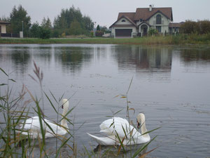 Невеликий будинок — Пошуковик нерухомості від забудовників і власників GEOLN.COM. Фото 3