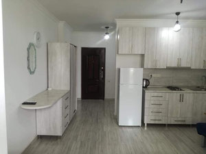 出售一房公寓 — 来自开发商和业主的房地产搜索引擎 GEOLN.COM. 照片 4