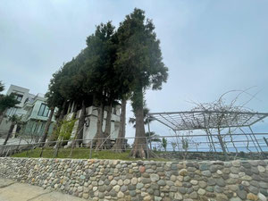 在 Gonio 山区出售的房子 — 来自开发商和业主的房地产搜索引擎 GEOLN.COM. 照片 2