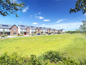 Real estate in Millerstown Development — look at the real estate search engine GEOLN.COM. Photo 2