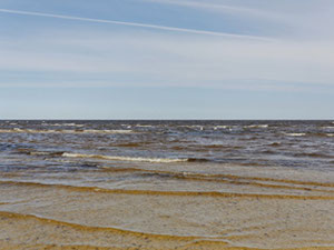 Будинок біля моря в Латвії, Юрмала, Яункемері — Пошуковик нерухомості від забудовників і власників GEOLN.COM. Фото 12