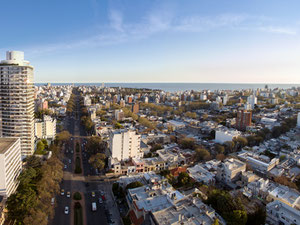 içindeki mülkiyet JOY MVD — emlak arama motoru GEOLN.COM'a bakın. Fotoğraf 2