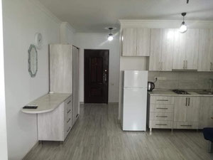 出售一室公寓 — 来自开发商和业主的房地产搜索引擎 GEOLN.COM. 照片 4