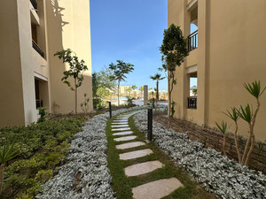 Готова до заселення студія в Al Dau — Пошуковик нерухомості від забудовників і власників GEOLN.COM. Фото 14