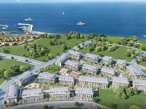 房地产在 Palm Marin — look at the real estate search engine GEOLN.COM. 照片 5