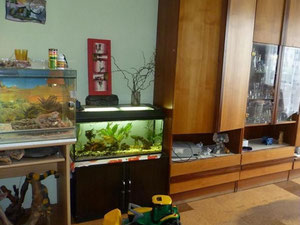 בית בצ'כיה, אזור הבוהמה המרכזי, Bezdekov pod Tremshin מכירה — חיפוש נדל"ן מפרטי ומקבלן GEOLN.COM. תמונה 3