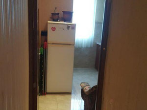 Gldani的2个房间的公寓。第比利斯的低价公寓 — 来自开发商和业主的房地产搜索引擎 GEOLN.COM. 照片 7