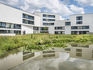 içindeki mülkiyet Vijverhof — emlak arama motoru GEOLN.COM'a bakın. Fotoğraf 2