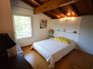 别墅在瑞士，苏黎世，坦纳 — 来自开发商和业主的房地产搜索引擎 GEOLN.COM. 照片 9