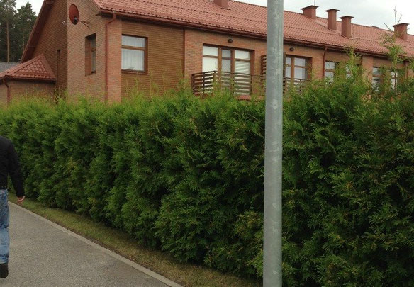 House in Latvia, Riga, Suzhi