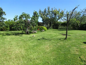 Вілла в Італії, Тоскані, Монтепульчано — Пошуковик нерухомості від забудовників і власників GEOLN.COM. Фото 15