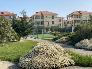 For sale apartment in Baku — Find off-plan property or real estate resale directly from developers and owners GEOLN.COM. Photo 10